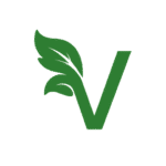 Veshoj item